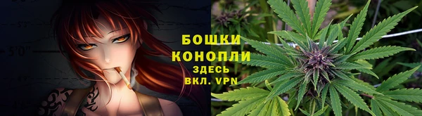 спайс Коряжма